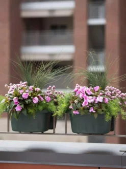 Self-Watering Saddle Railing Planter, 16" 7 Self-Watering Saddle Railing Planter, 16" -Indoor Oasis Supplies 8592175GR 2430 tif