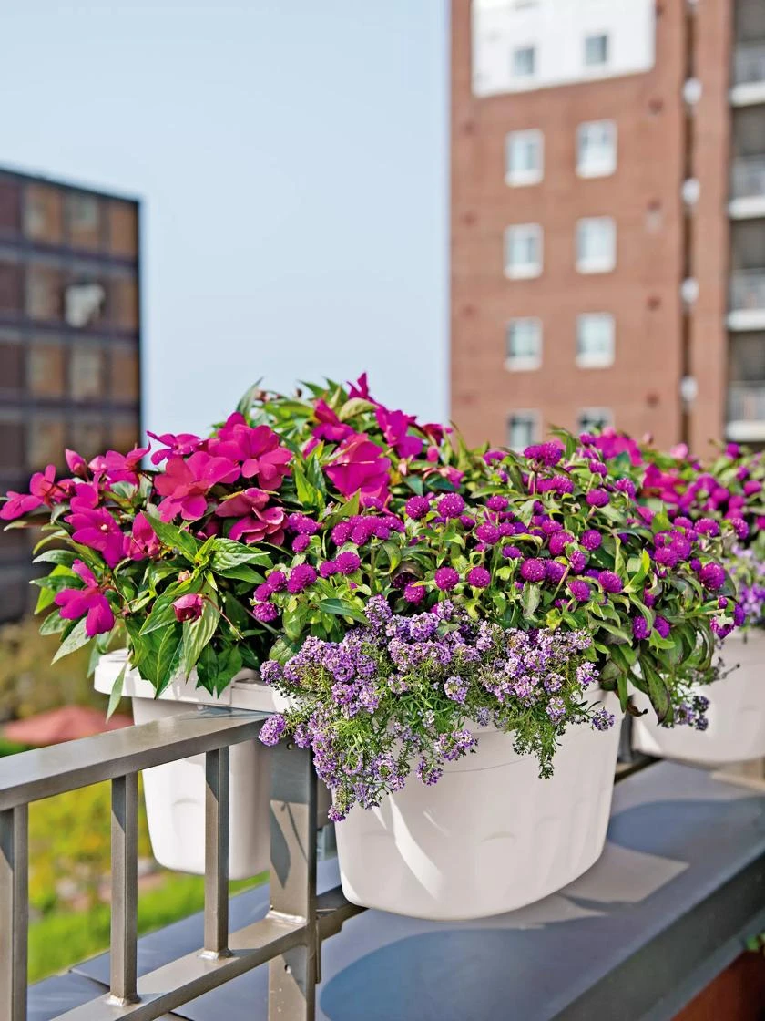 Self-Watering Saddle Railing Planter, 16" 1 Self-Watering Saddle Railing Planter, 16"