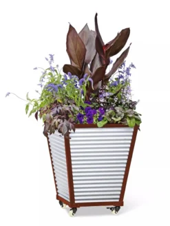Galvanized Self-Watering Planters -Indoor Oasis Supplies 8592177 5066 tif