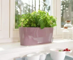 Lechuza® Delta Self-Watering Windowsill Planters -Indoor Oasis Supplies 8592361 01V tif