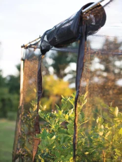 Storm Proof Crop Cage, Large -Indoor Oasis Supplies 8592463 115 tif