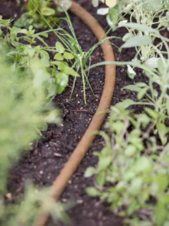 Premium 1/2" Soaker Hose -Indoor Oasis Supplies 8592729 4918 tif