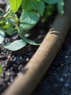 Premium 1/2" Soaker Hose -Indoor Oasis Supplies 8592730 4933 tif