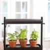 Micro Grow Light Garden
