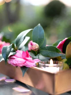 Rectangular Copper Plant Tray, 18"x4" -Indoor Oasis Supplies 8593532 02IN tif