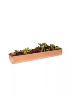 Rectangular Copper Plant Tray, 18"x4" -Indoor Oasis Supplies 8593532 2892 tif