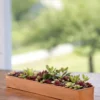 Rectangular Copper Plant Tray, 18"x4"
