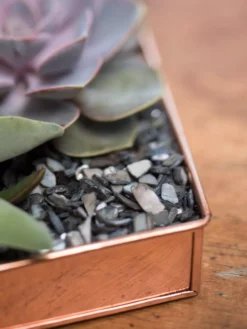 Rectangular Copper Plant Tray, 24" X 5" -Indoor Oasis Supplies 8593533 4570 tif