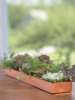 Rectangular Copper Plant Tray, 24" X 5" -Indoor Oasis Supplies 8593533 4626 tif