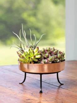 Extra Small Round Copper Plant Tray, 8" -Indoor Oasis Supplies 8593564 4641 001E tif