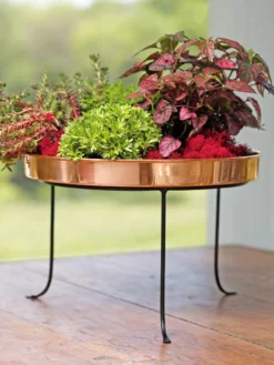 Large Round Copper Plant Tray, 14" 12 Large Round Copper Plant Tray, 14" -Indoor Oasis Supplies 8593567 4636 tif