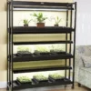 High Intensity 3-Tier SunLite® Garden