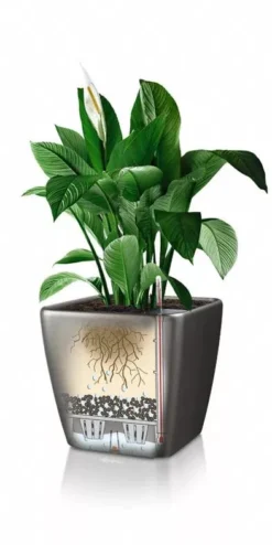 Lechuza® Quadro LS Premium Self-Watering Square Planters -Indoor Oasis Supplies 8594096 05V tif
