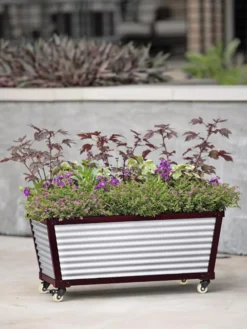 Short Galvanized Self-Watering Trough Planter