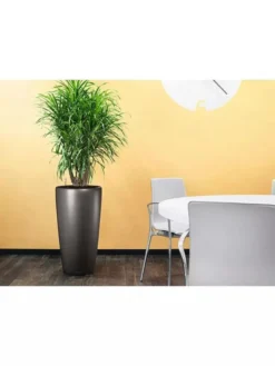 Lechuza® Rondo Self-Watering Planters -Indoor Oasis Supplies 8594586 02V tif