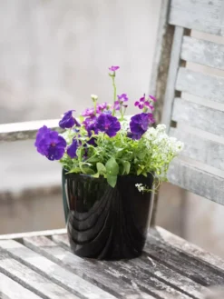 Viva Round Self-Watering Planter, 7" Diameter -Indoor Oasis Supplies 8595222 1140 tif