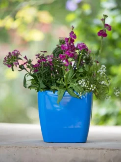 Viva Square Self-Watering Planter, 7" Diameter -Indoor Oasis Supplies 8595223 1113 tif