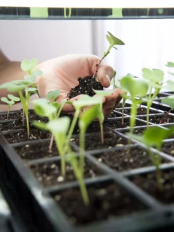 LED Stack-n-Grow Lights - Base Unit -Indoor Oasis Supplies 8595770 7373 tif