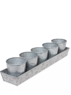 Galvanized Herb Planters With Rectangular Tray -Indoor Oasis Supplies 8595903 3924 tif