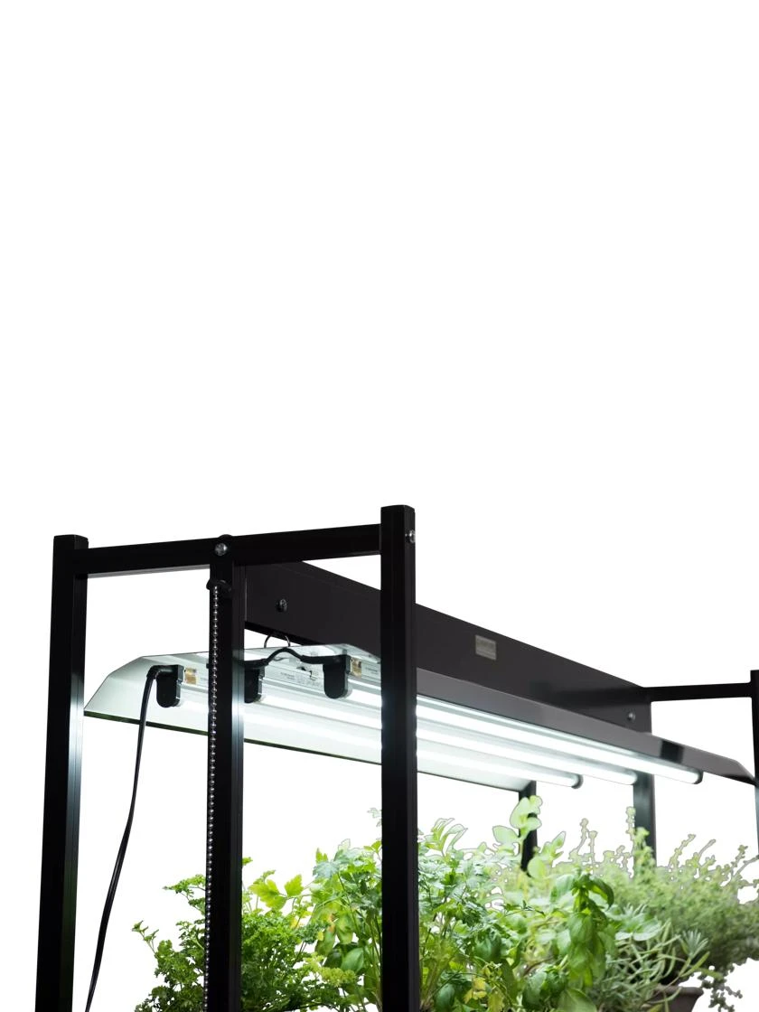 LED SunLite® High Intensity Fixture 2 LED SunLite® High Intensity Fixture - Image 2