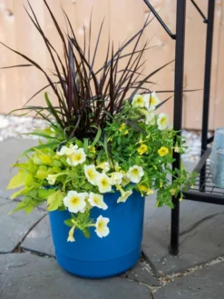 Best Seller -Indoor Oasis Supplies 8596427 0035 tif