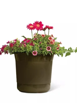 Eezy Gro Self-Watering Planters -Indoor Oasis Supplies 8596427 108 tif