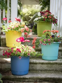 Eezy Gro Self-Watering Planters -Indoor Oasis Supplies 8596427 8090 tif