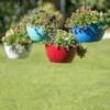 Viva Self-Watering Hanging Basket, 14" Diameter