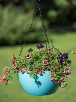 Viva Self-Watering Hanging Basket, 14" Diameter 8 Viva Self-Watering Hanging Basket, 14" Diameter -Indoor Oasis Supplies 8596442 0859 tif