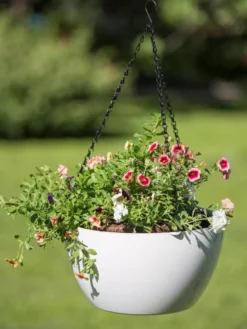 Viva Self-Watering Hanging Basket, 14" Diameter 7 Viva Self-Watering Hanging Basket, 14" Diameter -Indoor Oasis Supplies 8596442 0864 tif