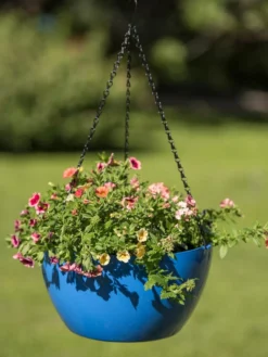 Viva Self-Watering Hanging Basket, 14" Diameter 9 Viva Self-Watering Hanging Basket, 14" Diameter -Indoor Oasis Supplies 8596442 0876 tif