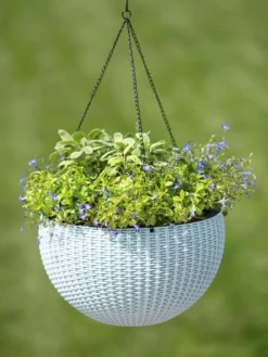 Weave Self-Watering Hanging Basket, 14" 5 Weave Self-Watering Hanging Basket, 14" -Indoor Oasis Supplies 8596490 10307 tif