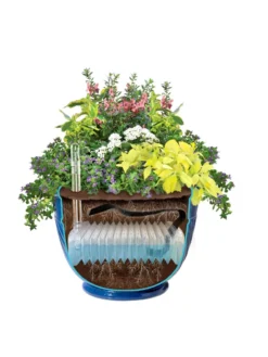 Mazzano Self-Watering Planters -Indoor Oasis Supplies 8596570 SWMazzano19 Blue art tif