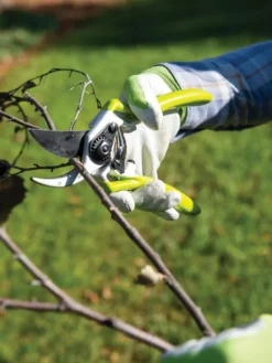Gardener's Pro Pruner #2 -Indoor Oasis Supplies 8596605 032 tif