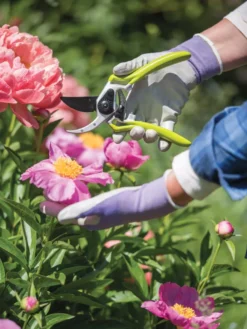 Gardener's Pro Pruner #2 -Indoor Oasis Supplies 8596605 1261 tif