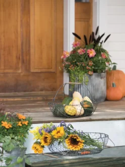 Galvanized Rim Planters 9 Galvanized Rim Planters -Indoor Oasis Supplies 8597379 1625 tif