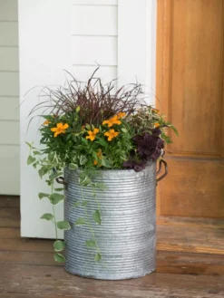 Galvanized Rim Planters 8 Galvanized Rim Planters -Indoor Oasis Supplies 8597443 1708 tif