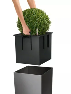 Lechuza® Cube Premium Planters 8 Lechuza® Cube Premium Planters -Indoor Oasis Supplies 8597506 04V tif