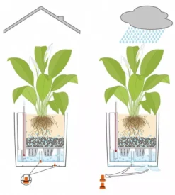 Lechuza® Cube Premium Planters 9 Lechuza® Cube Premium Planters -Indoor Oasis Supplies 8597506 05V tif