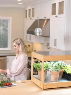 Low Bamboo LED Grow Light Garden -Indoor Oasis Supplies 8597720 0816 tif