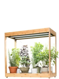Medium Bamboo LED Grow Light Garden -Indoor Oasis Supplies 8597883 1011 tif
