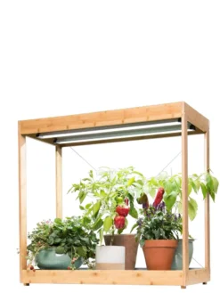 Medium Bamboo LED Grow Light Garden -Indoor Oasis Supplies 8597883 1013 tif