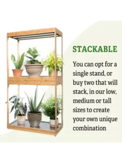 Medium Bamboo LED Grow Light Garden -Indoor Oasis Supplies 8597883 6