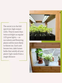 Bamboo LED Grow Light Garden For Succulents And Seeds -Indoor Oasis Supplies 8598084 7