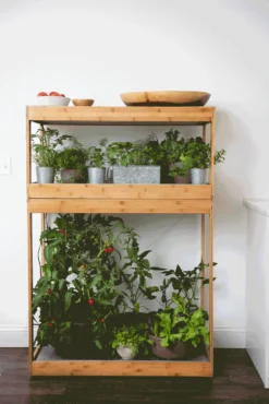 Bamboo Home LED Grow Light Garden -Indoor Oasis Supplies 8598088 BambooLEDHomeGarden light gif scaled