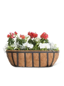 AquaSave™ Oxford Window And Deck Planters 7 AquaSave™ Oxford Window And Deck Planters -Indoor Oasis Supplies 8598626 8809 tif