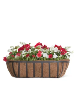 AquaSave™ Oxford Window And Deck Planters 6 AquaSave™ Oxford Window And Deck Planters -Indoor Oasis Supplies 8598628 1000 tif