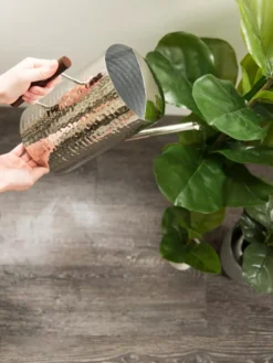 Stainless Steel Watering Can -Indoor Oasis Supplies 8599057 14322 tif