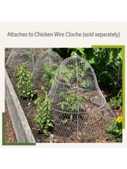 Chicken Wire Cloche Extension -Indoor Oasis Supplies 8599107 2