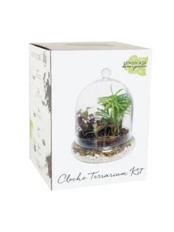 Cloche Terrarium Kit Medium -Indoor Oasis Supplies 8599148 01v